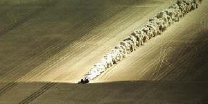 shockwaves produced by ThrustSSC